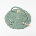 Sage green interactive play mat with attached toys for cat anxiety relief