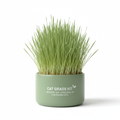 Sage green planter with fresh cat grass for digestive and stress relief